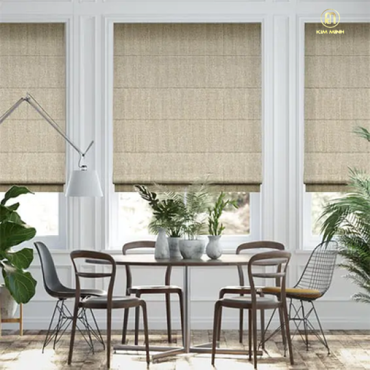 Rèm Phòng Khách Chung Cư Fineplus HC D-005